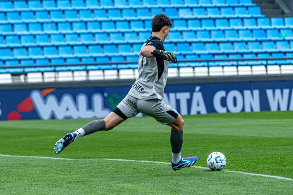 What are the UK's most popular pet breeds?