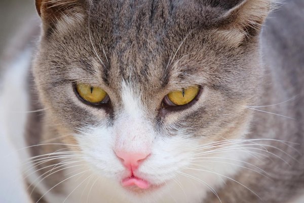 What are the key trends in the UK automotive aftermarket?